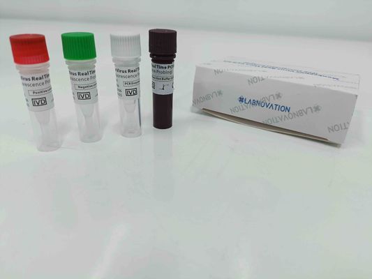 qualité  Real Time Monkeypox PCR Test Kit With Positive / Negative Control usine