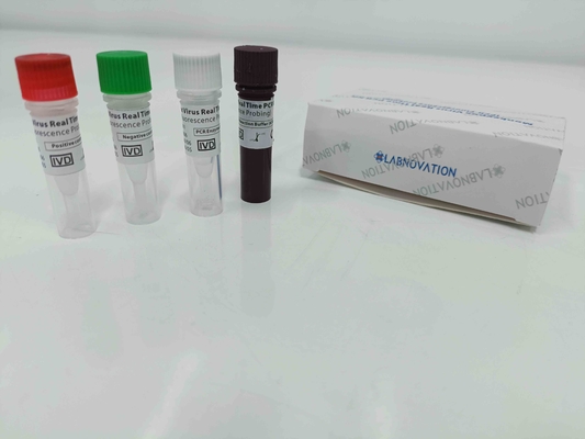 Essai en temps réel d'ACP de Monkeypox Kit With Positive/contrôle négatif